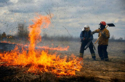 Пожежа біля Ізмаїла: Нацгвардія та рятувальники ліквідували займання на 2,5 га — нове загоряння поблизу Старої Некрасівки