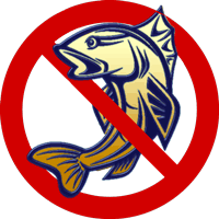 В Измаильском р-не вступил в силу запрет на вылов рыбы